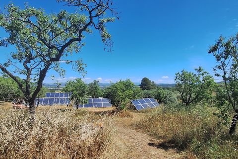 Landejendom i Ginestar, Tarragona, Ginestar - € 375.000 | Ref: CC845 - foto 41